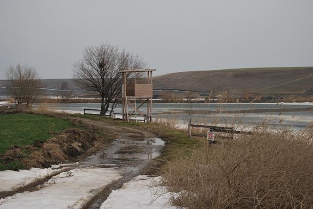 SULIMANU 2014 - dsc0160.JPG